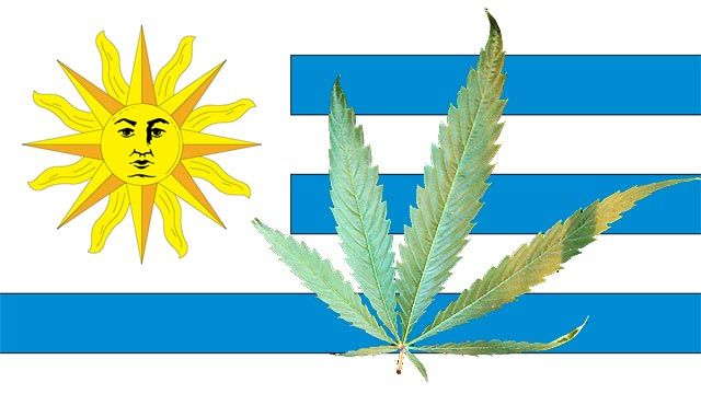 uruguay-legaliza-la-marihuana