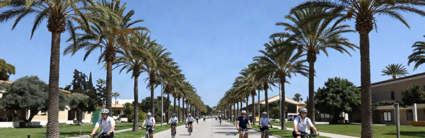 ¡Ven a estudiar a la Universidad de Alicante!